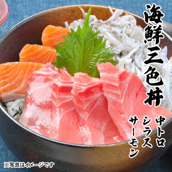 CNOF g 炷 T[ CN  Zbg 3`4lO 2025 ̓  v[g Mtg hg O 蕨 j