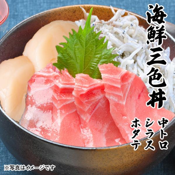 CNOF g 炷 z^e CN  Zbg 3`4lO O ̓  j 2025 v[g Mtg hg