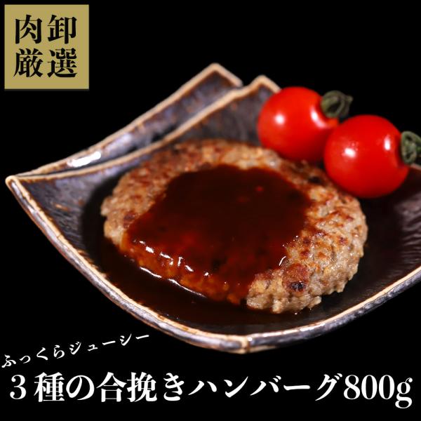 3種の合挽きハンバーグ 800g 合挽き 惣菜 冷凍 爆買