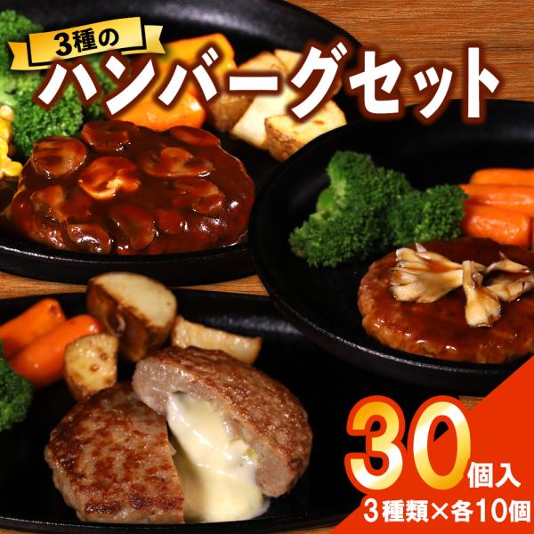 肉 福袋 2026 食品 メガ盛り 総重量3.2kg（3種 食べ比べ 110g×2種×10個 100g×1種×10個  計30個セット)  惣菜 ハンバーグ福袋 ハンバーグ 冷凍 爆買