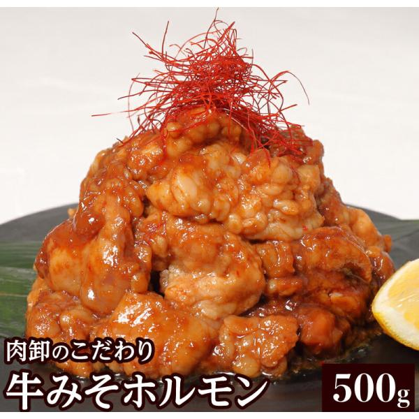 ホルモン 訳あり 肉 焼肉 バーベキュー お取り寄せ グルメ ギフト 食品 人気 シマチョウ てっちゃん もつ 味噌 タレ 500g 爆買