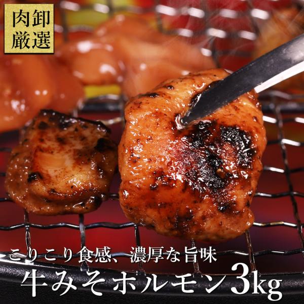 牛 味噌ホルモン 3kg(300g×10パック) ホルモン ギアラ アカセンマイ おつまみ BBQ バーベキュー 焼肉 焼き肉 冷凍 冷凍食品 お取り寄せグルメ 爆買