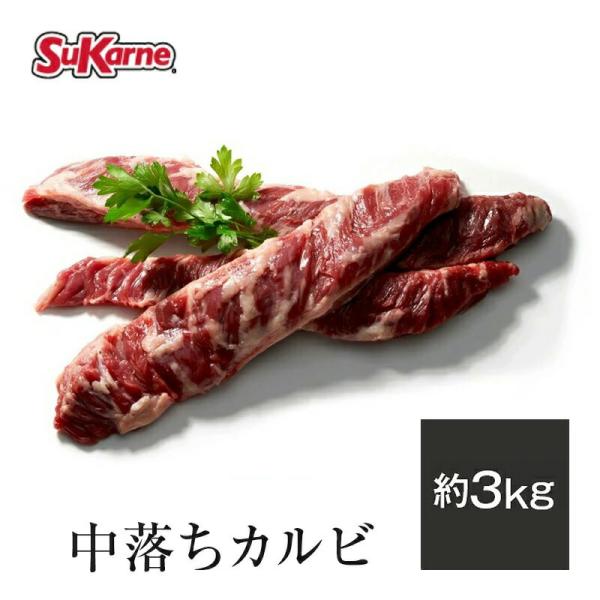 中落カルビ (メキシコ産) 約2.6〜3kg 牛肉 中落 BBQ 焼肉 塊肉 ステーキ 冷凍 爆買