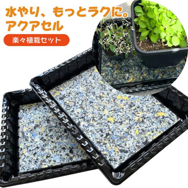 園芸 給水シート アクアセル 底面給水 ウレタン 楽々植栽セット　トレーと専用アクアセルのセット　10枚