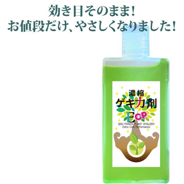植物のミネラル補給 活力剤 日常ケア 無機タイプ | 濃縮ゲキ力剤ECP 40cc