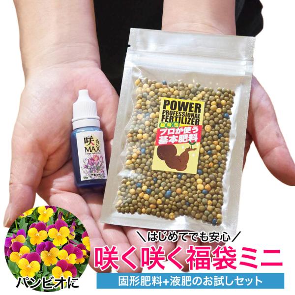 春のお花の肥料セット 初心者向け 基本肥料 咲きMAX お試し2点セット