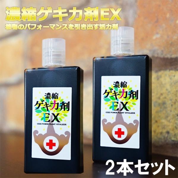 ͍ A ϗtA  c h{ 엿 h{ t̔엿 ׂĂ̐A Zk^Cv aC\h At uZkQL͍EX@2{Zbg(X|Cge)v