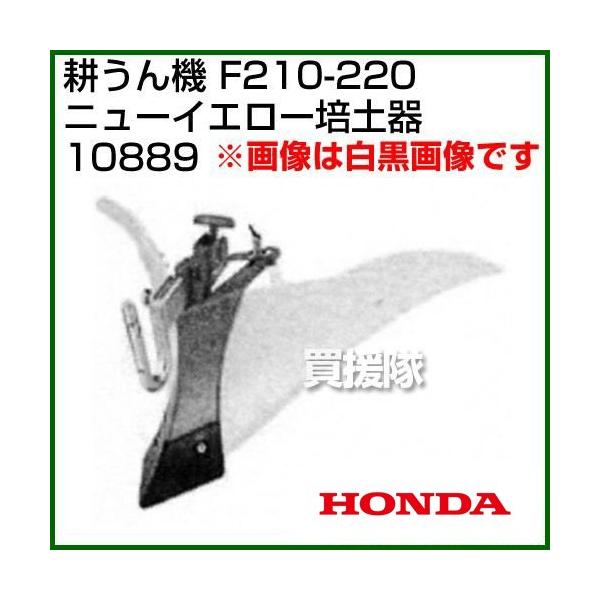 z_ ܂F210-F220p j[CG[|yiւȂj { 10889