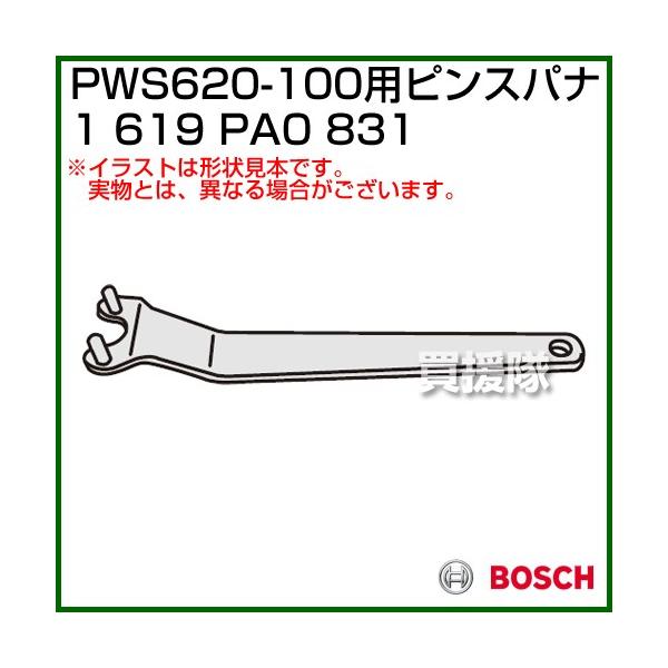 BOSCH sXpi 1619PA0831