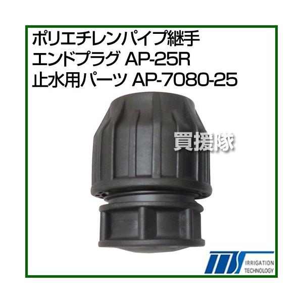 ������ЃC���e�b�N �|���G�`�����p�C�v�p�� �G���h�v���O AP-25R �~���p�p�[�c AP-7080-25