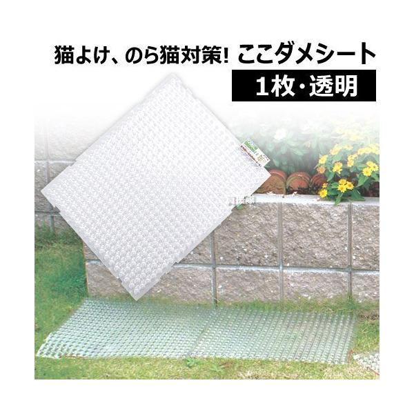 _V[g ^Cv Pi rj[