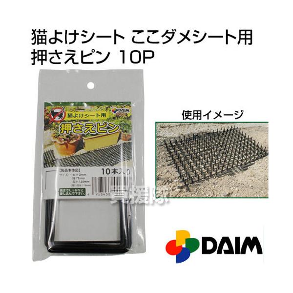 rj[ L悯V[g _V[gp s 10P