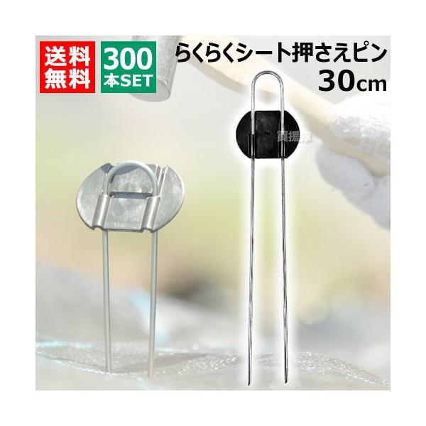 （法人限定）第一ビニール らくらくシート押さえピン 30cm （300本）