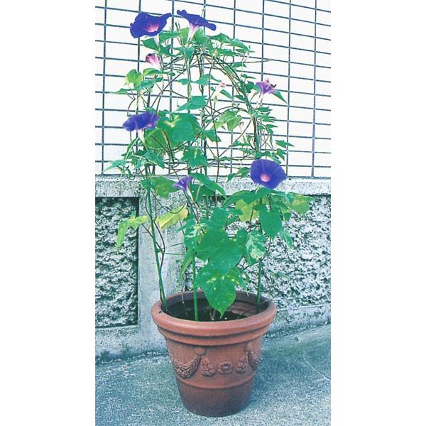 第一ビニール のびーる支柱 花のドーム 植木鉢用 5個セット E 15 G 5s ヒラキショウジ 通販 Yahoo ショッピング