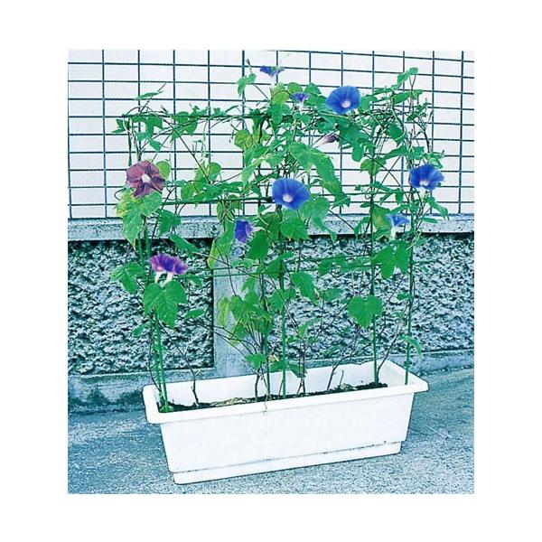 第一ビニール のびーる支柱 花のアーケード プランター用 E 16 G ヒラキショウジ 通販 Yahoo ショッピング