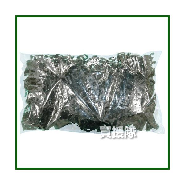 RgR nEXgbp[Ԑp 250 K-2020