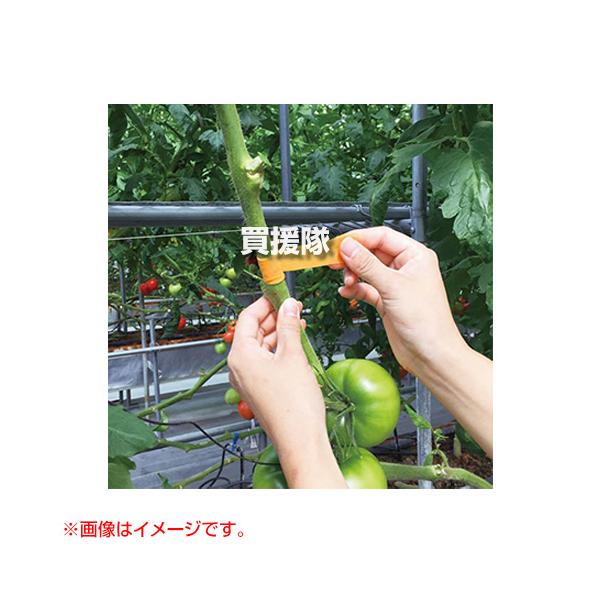 納期について：【取寄】通常3〜5日の発送予定(土日祝除く)折れたトマトの枝を補修する不織布テープ水の代わりに、加熱した高速の水蒸気を吹き付けて繊維を瞬時に反応させるスチームジェット製法と、クラレの特殊原料を組み合わせることで誕生した不織布＜...