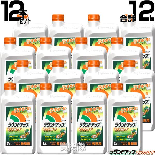 ���E���h�A�b�v ������ 1L ���t ��� 12�{�Z�b�g ���v12L �}�b�N�X���[�h ���Y���w