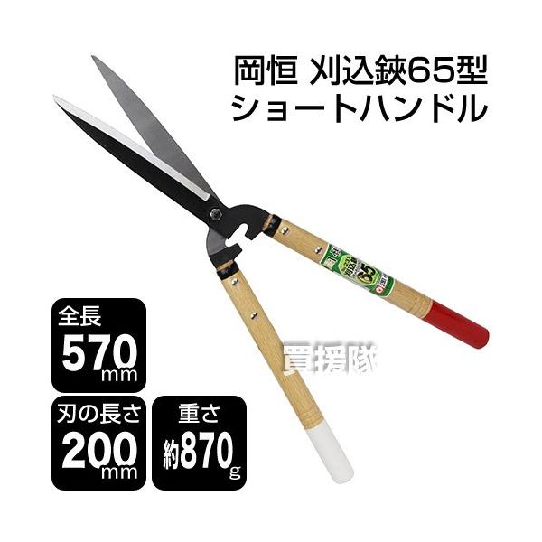 P 65^ V[gnh |p͂ 231