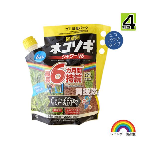 gekitaitai_rnbw-102289