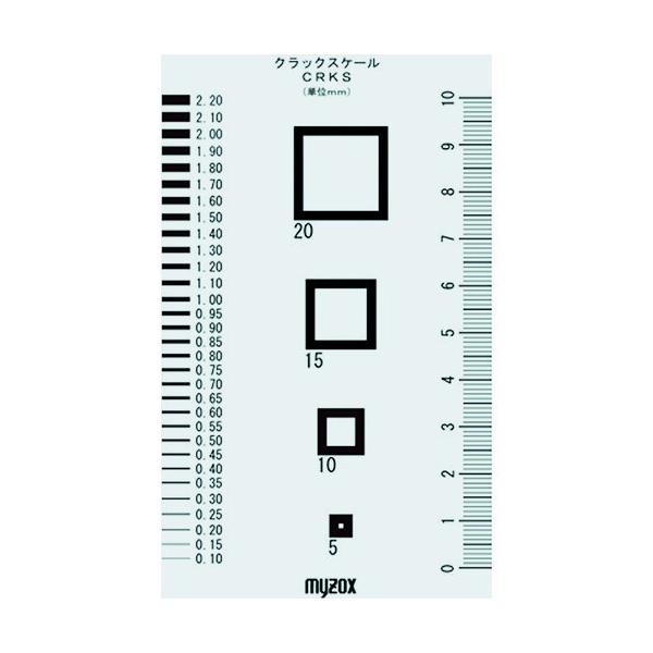 }C]bNX MYZOX NbNXP[CRKS CRKS Ԍ |Cg10{