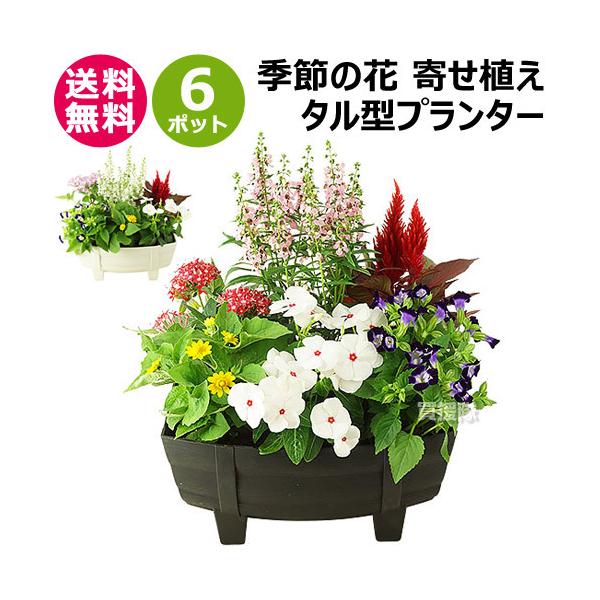 G߂̉ 񂹐A ^^   ԕc6|bg 1187