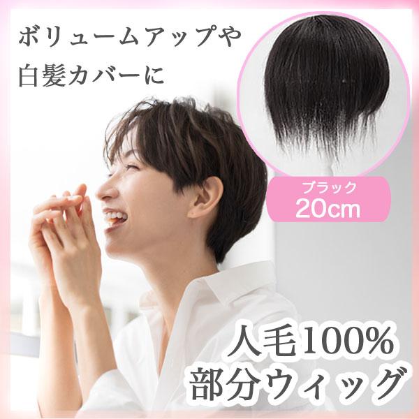 人毛100％ 部分ウィッグ ヘアピース 軽量 蒸れにくい 装着簡単 白髪隠し 20cm ブラック 29HO
