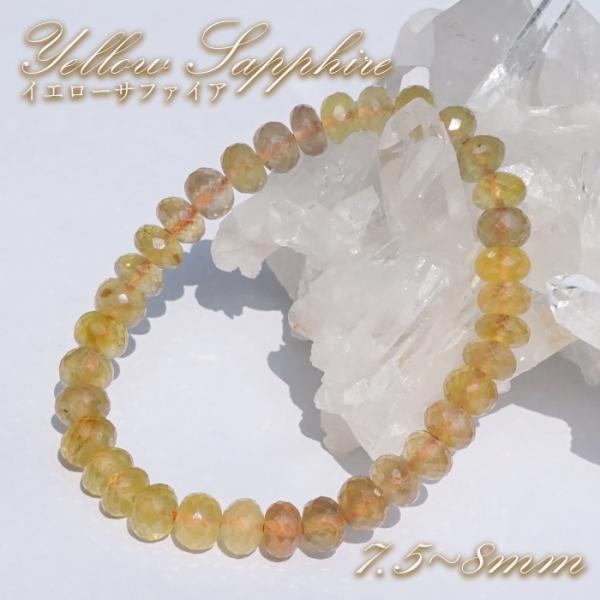 gem-kawasemi_01010738014402505005