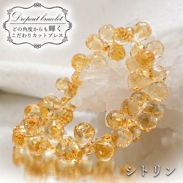 gem-kawasemi_01011026007602204001