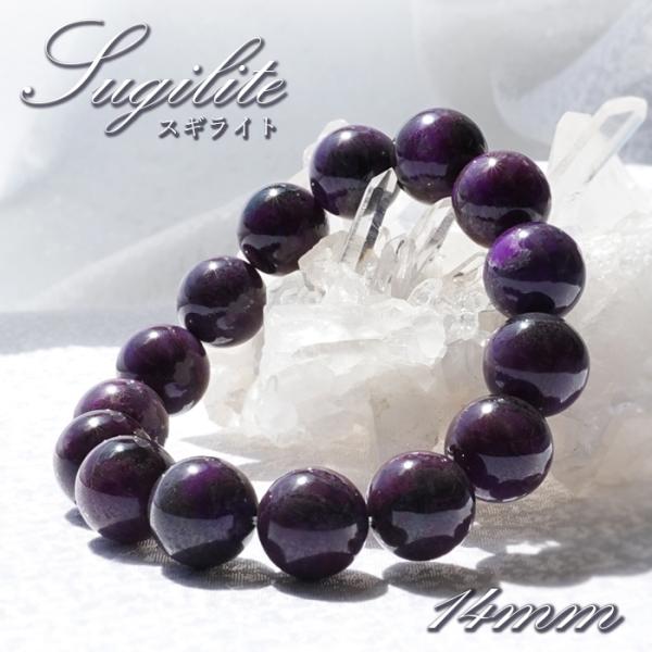 gem-kawasemi_01011401095702109001 gem-kawasemi_01011401095702109001