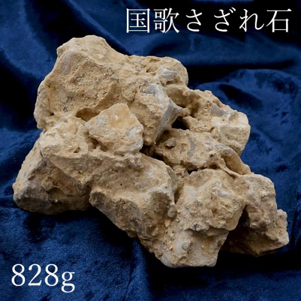 gem-kawasemi_12110000092102206020