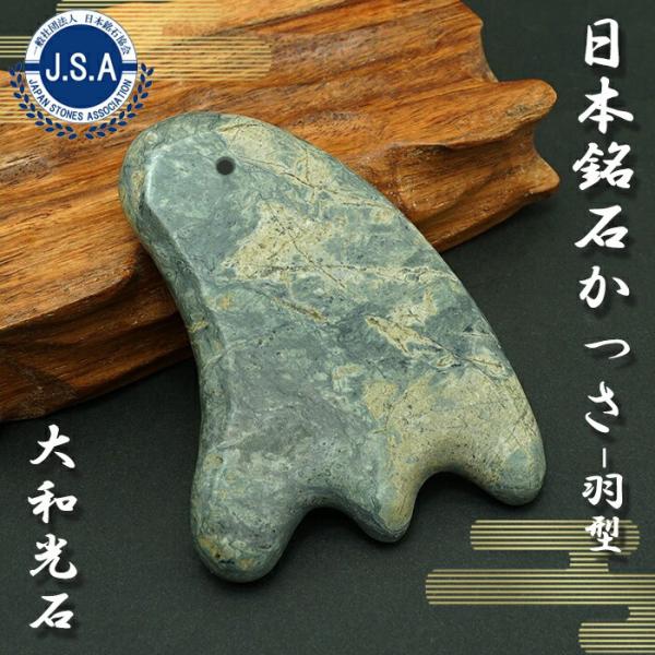 gem-kawasemi_12150000094502407001