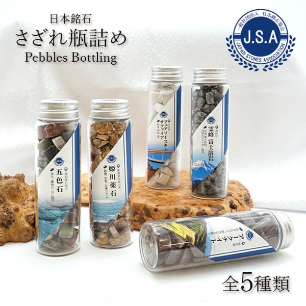 gem-kawasemi_12160000091502304001