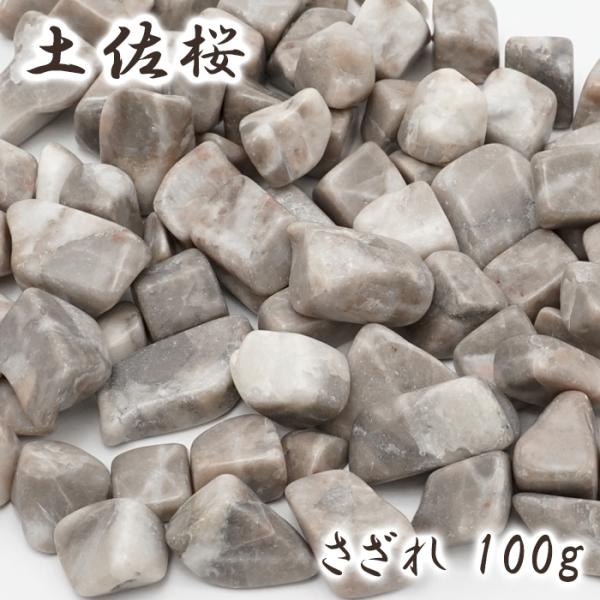 gem-kawasemi_12160000093902403001