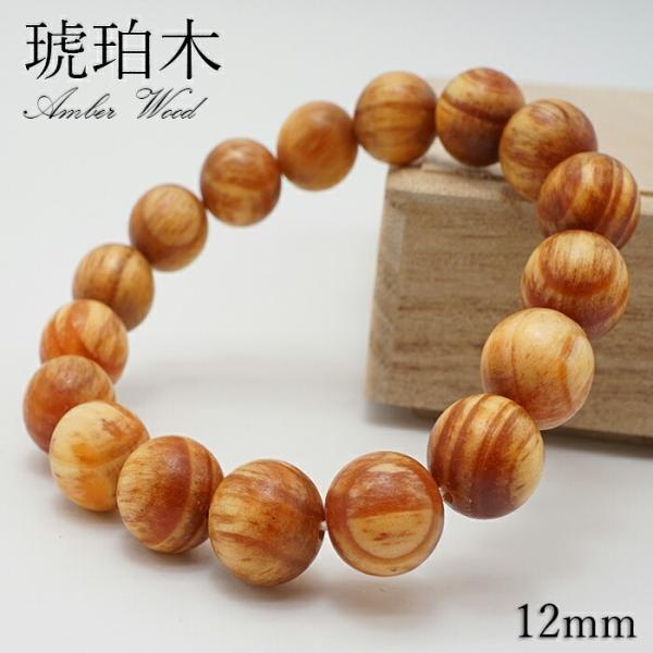 gem-kawasemi_13011201096802401001