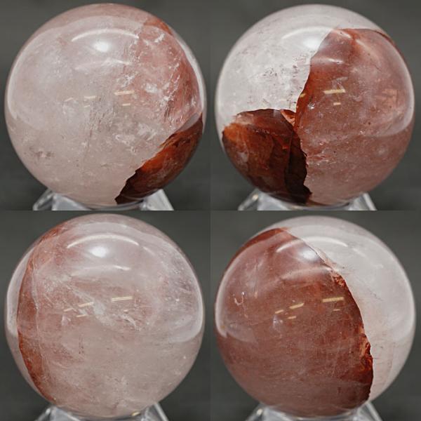 gem-kawasemi_14202101006_1