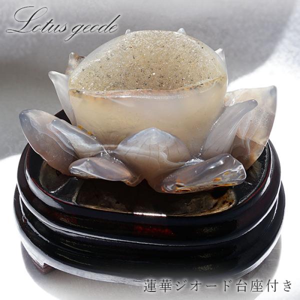 gem-kawasemi_20202105500