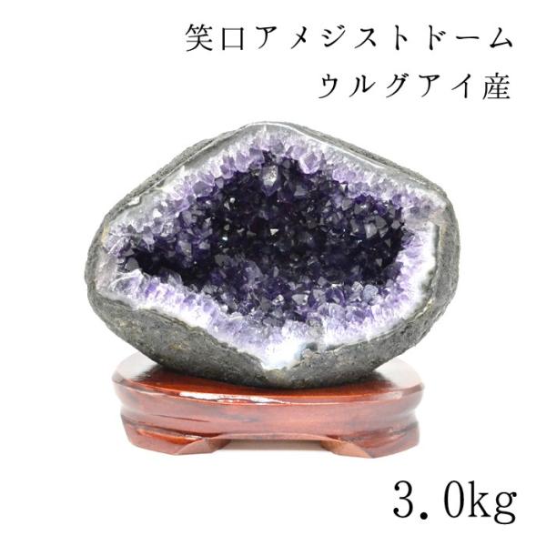 gem-kawasemi_21201910009
