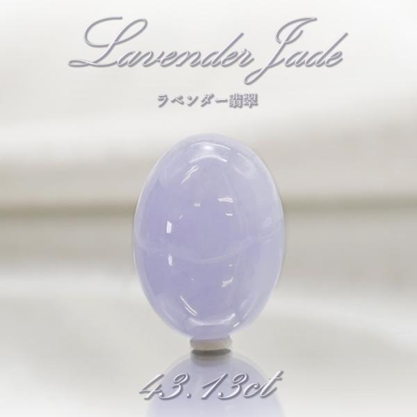 gem-kawasemi_23010000010402109002 gem-kawasemi_23010000010402109002