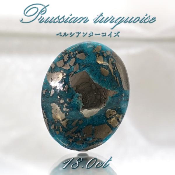 gem-kawasemi_23010000036402202015