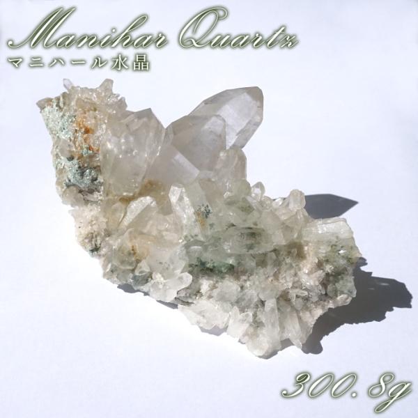 gem-kawasemi_24040000035602509006