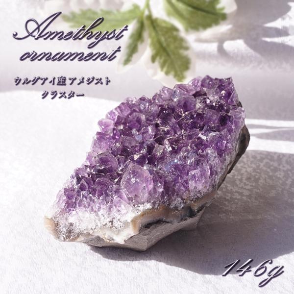 gem-kawasemi_24040000085802201005 gem-kawasemi_24040000085802201005