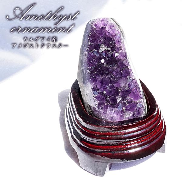 gem-kawasemi_24040000085802206004