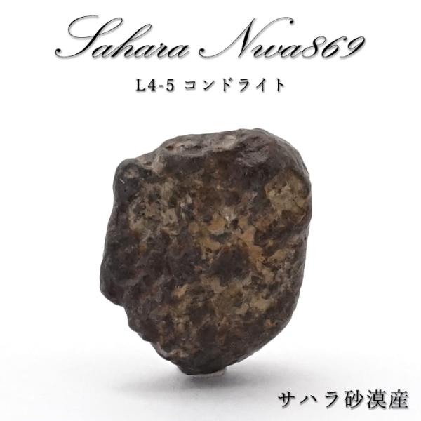 gem-kawasemi_25010000096102203001