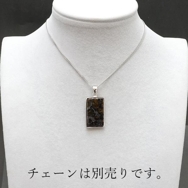 一点物】 パラサイト隕石 ペンダントトップ スクエア 5.8g 一点物】 パラサイト隕石 ペンダントトップ スクエア 5.8g