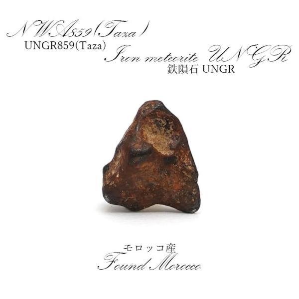 鉄隕石 300g 一点物】 NWA 859(Taza) モロッコ産 鉄隕石 UNGR Iron meteorite