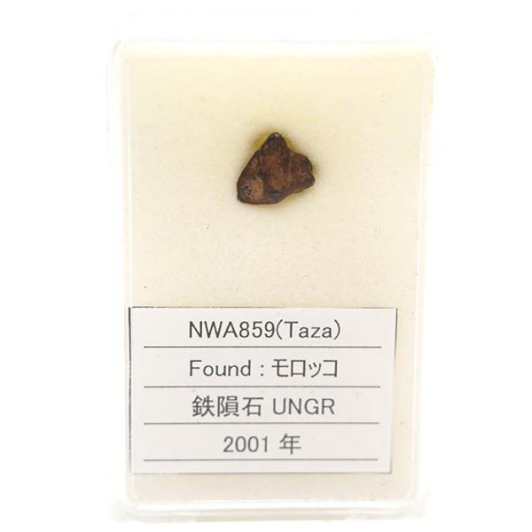 一点物】 NWA 859(Taza) モロッコ産 鉄隕石 UNGR Iron meteorite