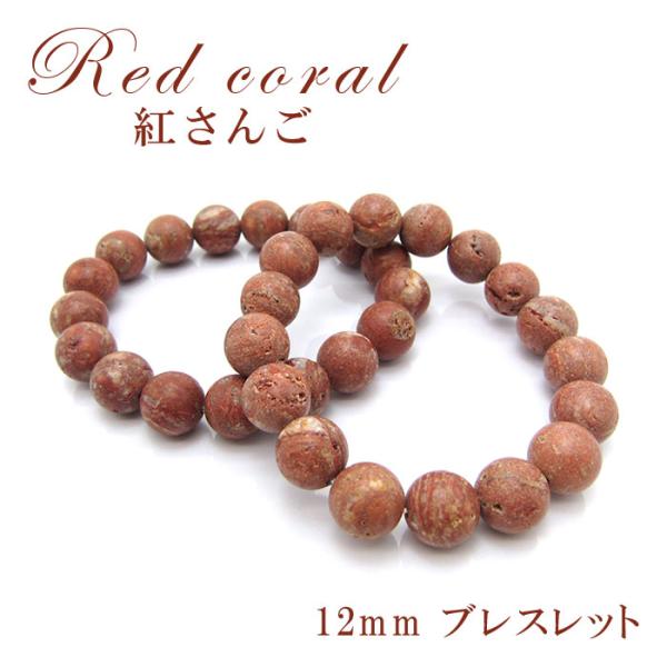 gem-kawasemi_32202003003