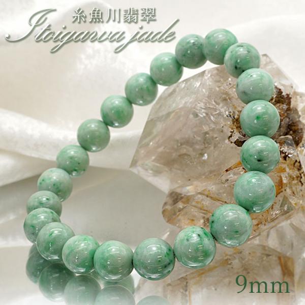 gem-kawasemi_32202105996 gem-kawasemi_32202105996