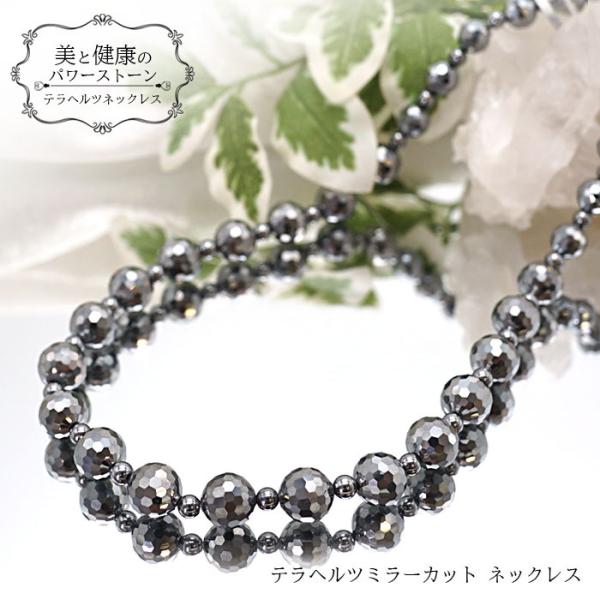 gem-kawasemi_58202012028